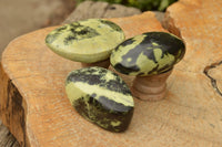 Polished Selected Leopard Stone Free Forms With Nice Colour & Patterns  x 5 From Zimbabwe - TopRock