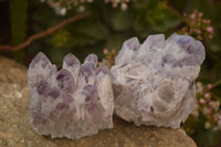 Natural Sugar Amethyst Clusters  x 6 From Solwezi, Zambia