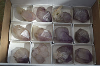 Natural Window Amethyst Quartz Crystals  x 12 From Ambatondrazaka, Madagascar - Toprock Gemstones and Minerals 