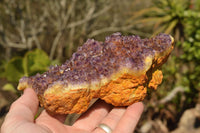 Natural Dark "Amethystos" Amethyst Clusters  x 6 From Kwaggafontein, South Africa - TopRock