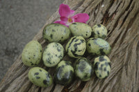 Polished Leopard Stone Eggs  x 12 From Zimbabwe - TopRock