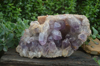 Natural Jacaranda Amethyst Cluster x 1 From Mumbwa, Zambia - TopRock