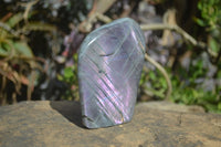 Polished Rare Purple Flash Labradorite Standing Free Forms x 4 From Tulear, Madagascar