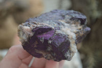 Natural Metallic Purpurite Cobbed Specimens  x 6 From Erongo, Namibia - Toprock Gemstones and Minerals 