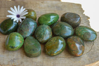 Polished Green Verdite Palm Stones  x 12 From Zimbabwe - TopRock