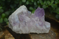 Natural Jacaranda Amethyst Clusters  x 3 From Zambia - Toprock Gemstones and Minerals 