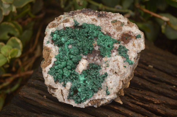 Natural Rare Ball Malachite On Drusy Quartz & Dolomite Matrix Specimens  x 2 From Kambove, Congo