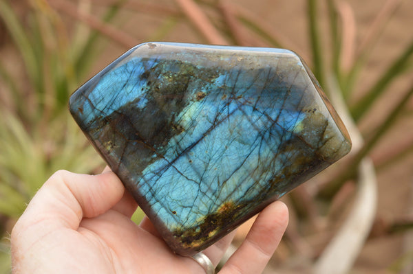 Polished Labradorite Standing Free Forms With Intense Blue & Gold Flash x 3 From Tulear, Madagascar - TopRock