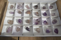 Polished Dream and Other Amethyst Points x 24 From Madagascar