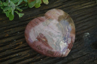 Polished Petrified Red Podocarpus Wood Heart x 1 From Madagascar - Toprock Gemstones and Minerals 