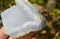 Natural Blue Lace Agate Geode Specimens  x 12 From Nsanje, Malawi - TopRock