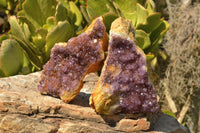 Natural Dark "Amethystos" Amethyst Clusters  x 6 From Kwaggafontein, South Africa - TopRock