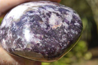 Polished Purple Lepidolite Free Forms x 2 From Zimbabwe - TopRock