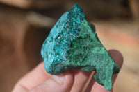 Natural Dioptase & Malachite Specimens  x 6 From Likasi, Congo