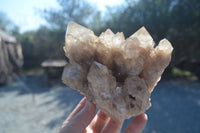 Natural Cascading White Phantom Smokey Quartz Clusters  x 2 From Luena, Congo - Toprock Gemstones and Minerals 