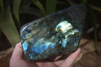 Polished Flashy Labradorite Standing Free Form  x 1 From Tulear, Madagascar