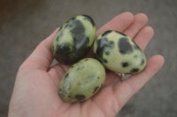 Polished Leopard Stone Eggs  x 12 From Zimbabwe - TopRock