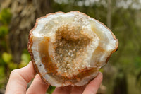 Natural Amethyst & Basalt Geode Specimens  x 6 From Zululand, South Africa - TopRock