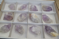 Natural Single Jacaranda Amethyst Crystals x 12 From Mumbwe, Zambia