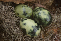 Polished Leopard Stone Eggs  x 12 From Zimbabwe - TopRock