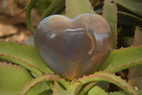 Polished Extra Large Translucent Chalcedony Gemstone Heart x 1 From Madagascar