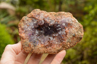 Natural Amethyst & Basalt Geode Specimens  x 6 From Zululand, South Africa - TopRock