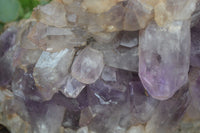 Natural Jacaranda Amethyst Cluster x 1 From Mumbwa, Zambia - TopRock