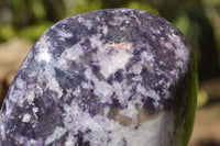 Polished Purple Lepidolite Free Forms x 2 From Zimbabwe - TopRock