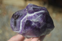 Polished "Witches Hat" Chevron Amethyst Crystals  x 4 From Madagascar - Toprock Gemstones and Minerals 