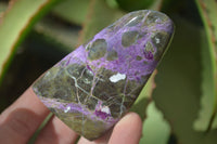 Polished Purple Stichtite Standing Free Forms x 6 From Barberton, South Africa