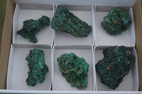 Natural Chatoyant Silky Malachite Specimens  x 6 From Kasompe, Congo - Toprock Gemstones and Minerals 