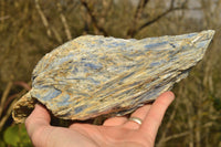 Natural Blue Kyanite Crystals In Schist Specimens  x 3 From Karoi, Zimbabwe - TopRock