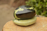 Polished Selected Leopard Stone Free Forms With Nice Colour & Patterns  x 5 From Zimbabwe - TopRock