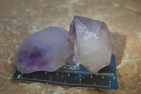 Natural Window Amethyst Quartz Crystals  x 12 From Ambatondrazaka, Madagascar - Toprock Gemstones and Minerals 