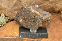 Natural Drusy Dolomite With Malachite On Hematite Matrix  x 4 From Kakanda, Congo - TopRock