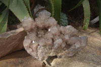 Natural Smokey Phantom Quartz Cluster x 1 From Luena, Congo