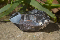 Natural Smokey Quartz Crystal Specimens x 3 From Malawi