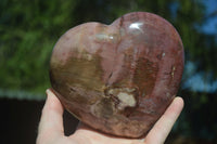 Polished Petrified Red Podocarpus Wood Heart x 1 From Madagascar - Toprock Gemstones and Minerals 