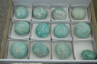 Polished Blue Amazonite Palm Stones  x 12 From Ambositra, Madagascar - Toprock Gemstones and Minerals 