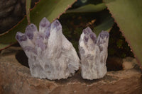 Natural Sugar Amethyst Clusters  x 6 From Solwezi, Zambia