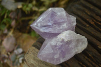 Natural Single Jacaranda Amethyst Crystals x 12 From Mumbwe, Zambia