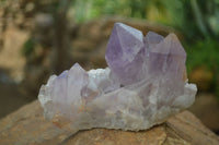 Natural Jacaranda Amethyst Clusters  x 3 From Zambia - Toprock Gemstones and Minerals 