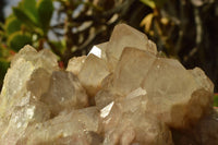 Natural Malachite Infused Cascading White Phantom Smokey Quartz Cluster x 1 From Luena, Congo - TopRock