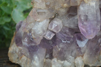 Natural Jacaranda Amethyst Cluster x 1 From Mumbwa, Zambia - TopRock