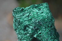 Natural Chatoyant Silky Malachite Specimens  x 2 From Congo - Toprock Gemstones and Minerals 