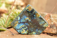 Polished Labradorite Standing Free Forms With Intense Blue & Gold Flash x 3 From Tulear, Madagascar - TopRock