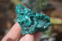 Natural Dioptase & Malachite Specimens  x 6 From Likasi, Congo