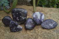 Polished Purple Lepidolite Free Forms  x 6 From Zimbabwe - Toprock Gemstones and Minerals 