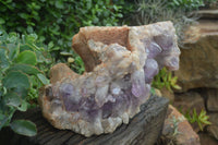 Natural Jacaranda Amethyst Cluster x 1 From Mumbwa, Zambia - TopRock