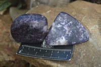 Polished Purple Lepidolite Free Forms  x 6 From Zimbabwe - Toprock Gemstones and Minerals 